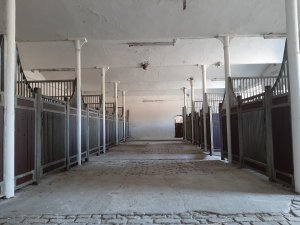 Reit- und Pferdetherapiezentrum Schmitz