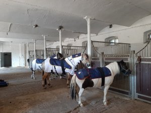 Reit- und Pferdetherapiezentrum Schmitz