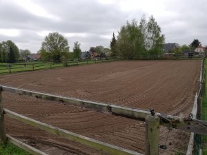 Pensionsstall und Alpakazucht am Stolper See