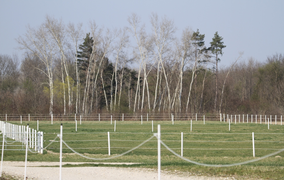 Equo Reitsportzentrum