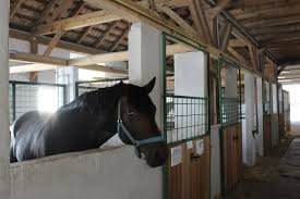 Reitstall Hatzenbach