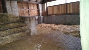 Pferderanch Steiner