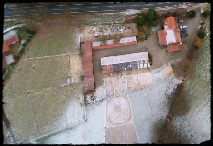 Holunderhof (Schutz und Gnadenhof)