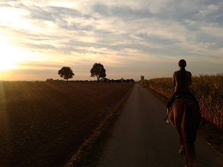 Western Valley Ranch