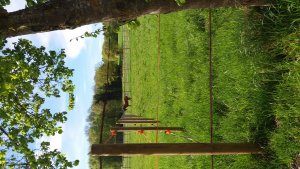 Hofgut Holzhausen