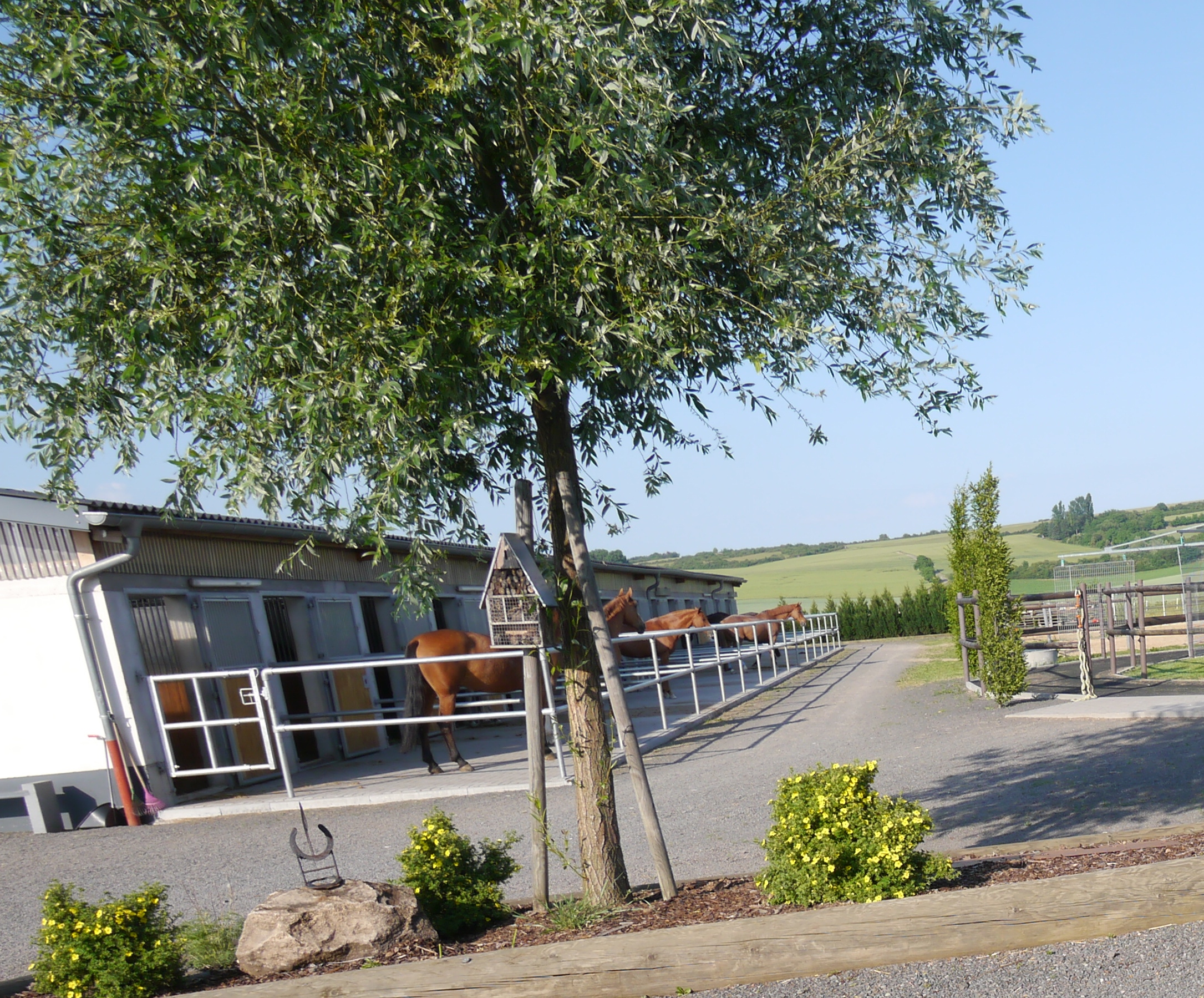 Hof Hohe Birken