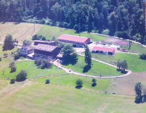 Rebberghof