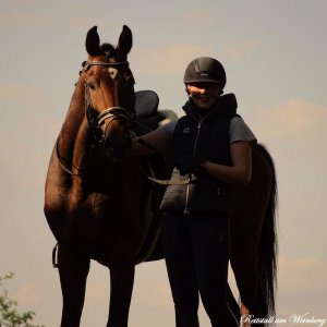 Reitstall am Weinberg