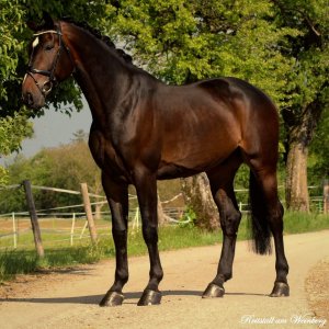 Reitstall am Weinberg
