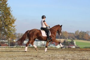 Reitstall am Weinberg