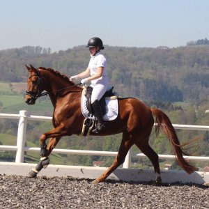 Reitstall am Weinberg