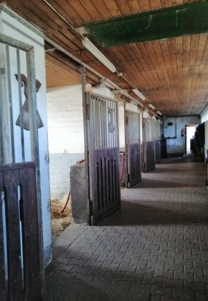 Reitstall Gollern