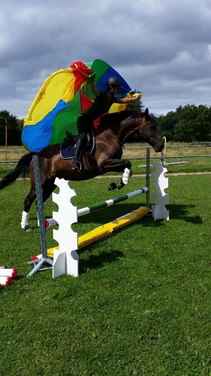 RG Redderhof
