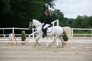 Reitbetrieb Stepnow