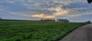 Buchenhof