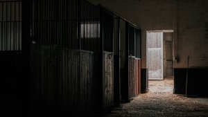 Buchenhof