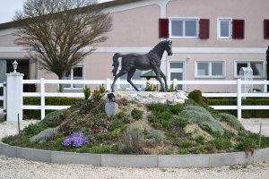 Annas Reitanlage Hofgut Mahlspüren