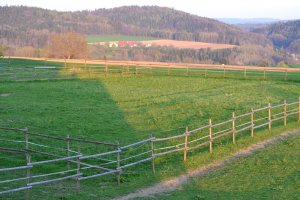 Annas Reitanlage Hofgut Mahlspüren