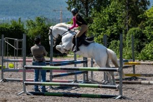 Allround Training Stuttgart
